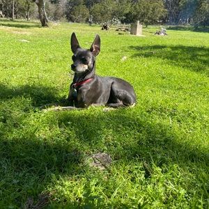 Meet your Posher, Sabrina